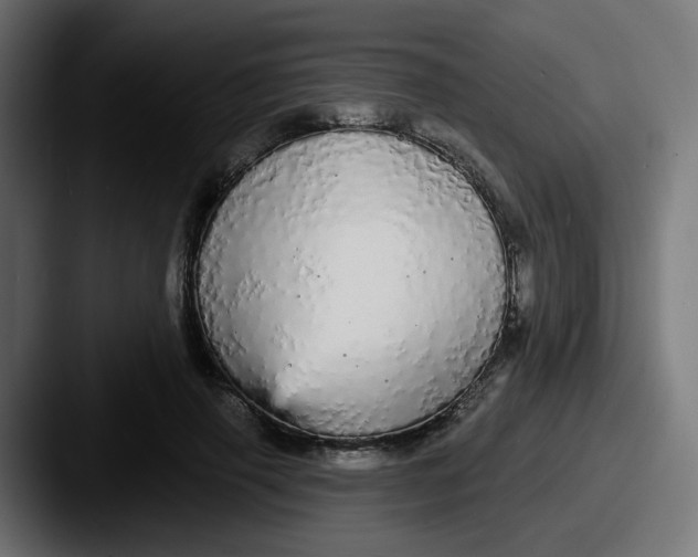 X0000087570645200705181143