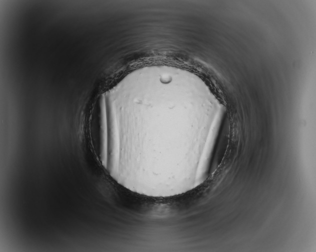 X0000087570647200705181143