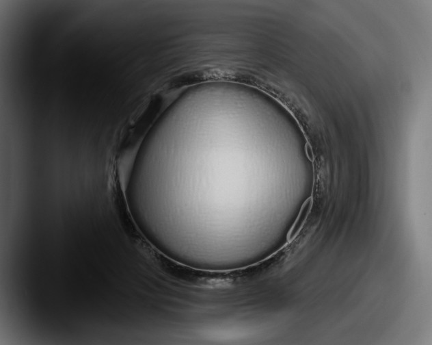 X0000087570649200705181143