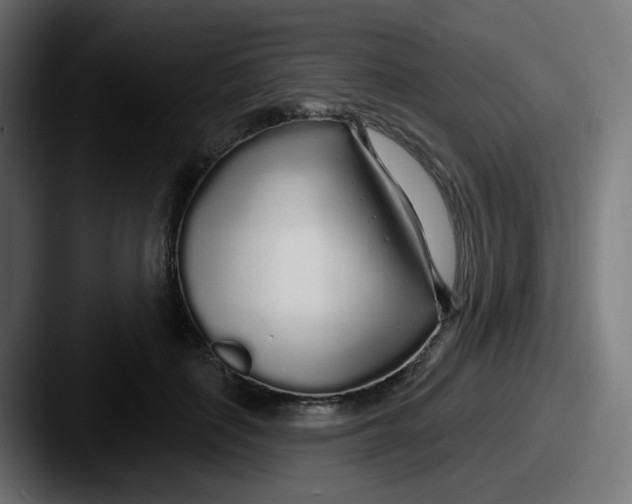 X0000087570651200705181143