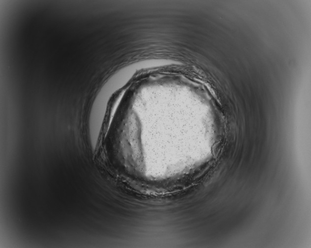 X0000087570654200705181143