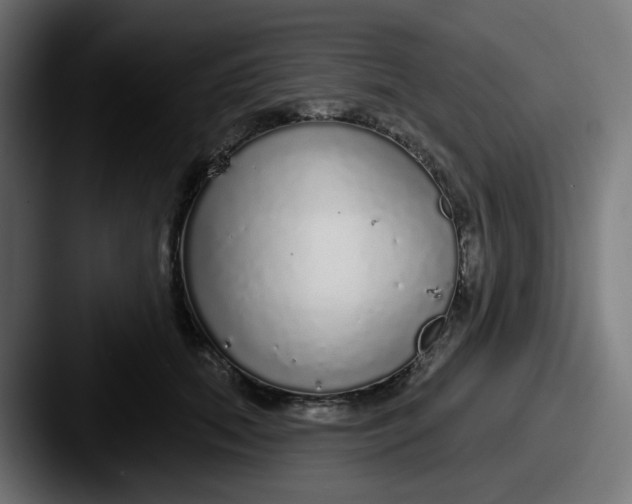 X0000087570655200705181143