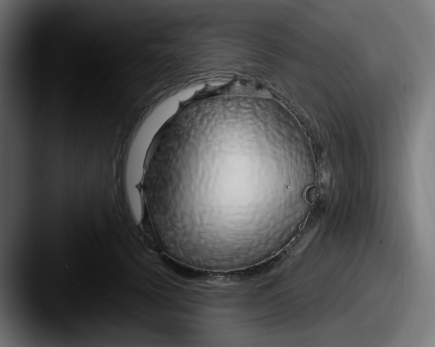 X0000087570656200705181143