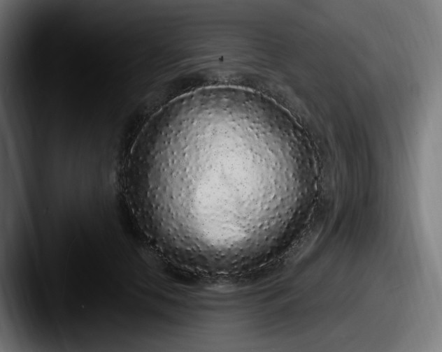 X0000087570658200705181143