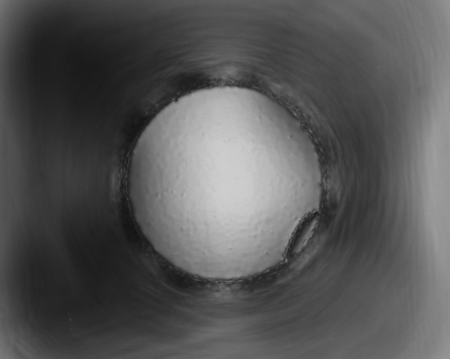 X0000087570660200705181143