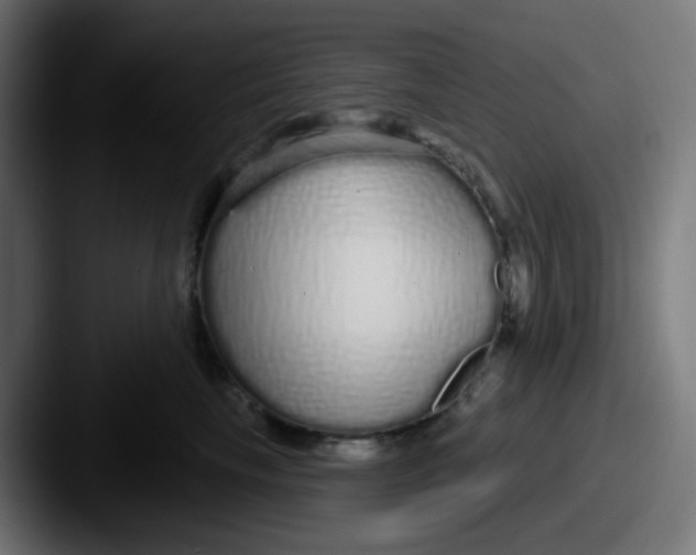 X0000087570665200705181143