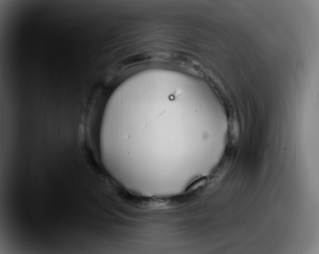 X0000087570668200705181144