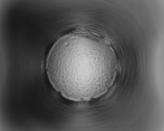 X0000087570670200705181144