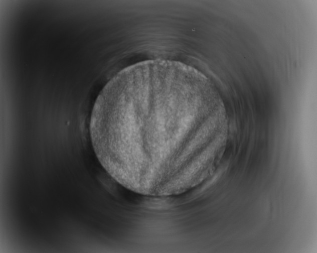 X0000087570671200705181144