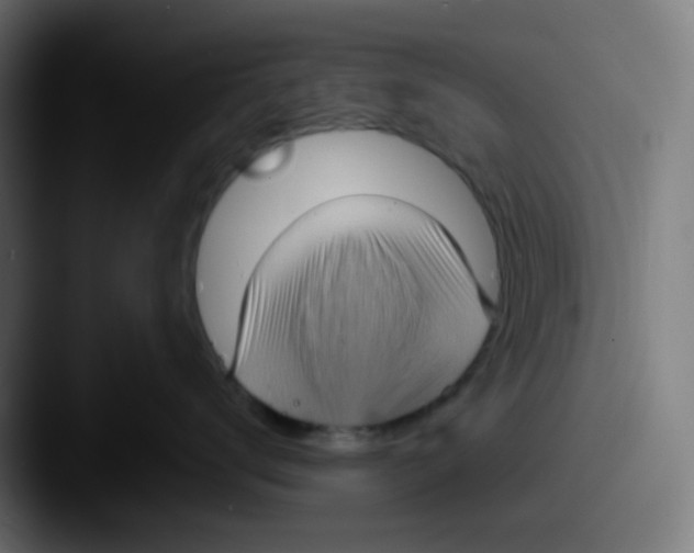 X0000087570672200705181144