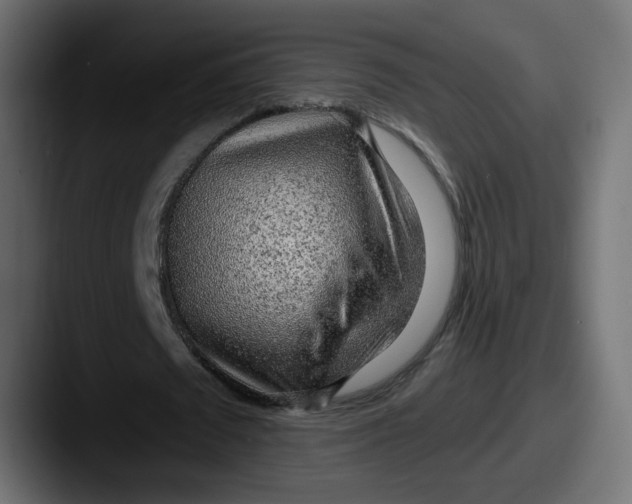 X0000087570673200705181143