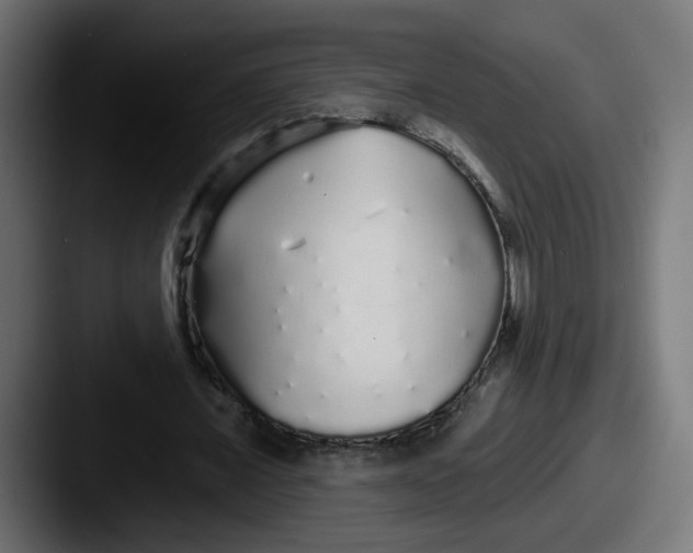 X0000087570675200705181143