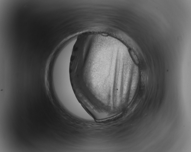 X0000087570676200705181143