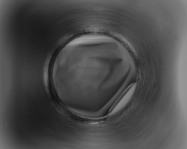 X0000087570678200705181143