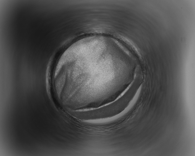 X0000087570680200705181143