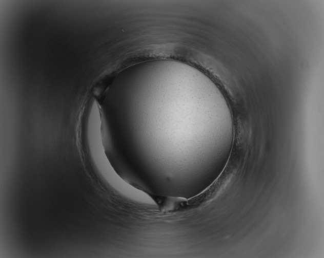 X0000087570681200705181143