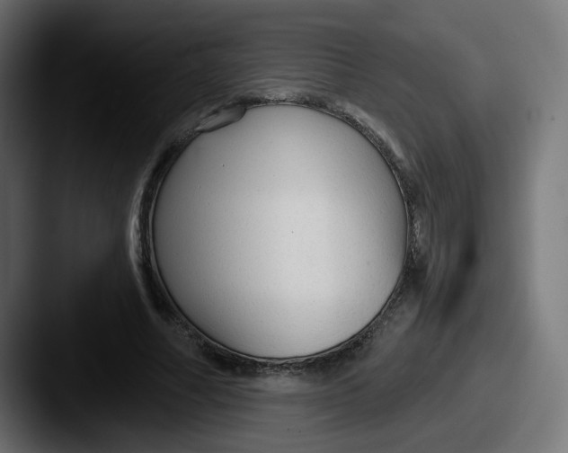 X0000087570682200705181143