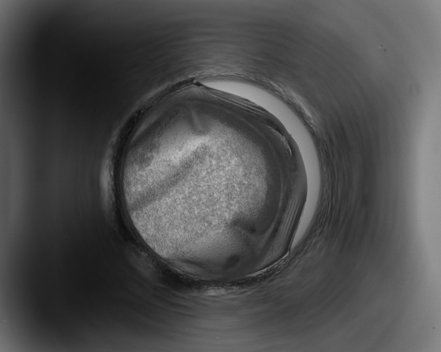 X0000087570684200705181143