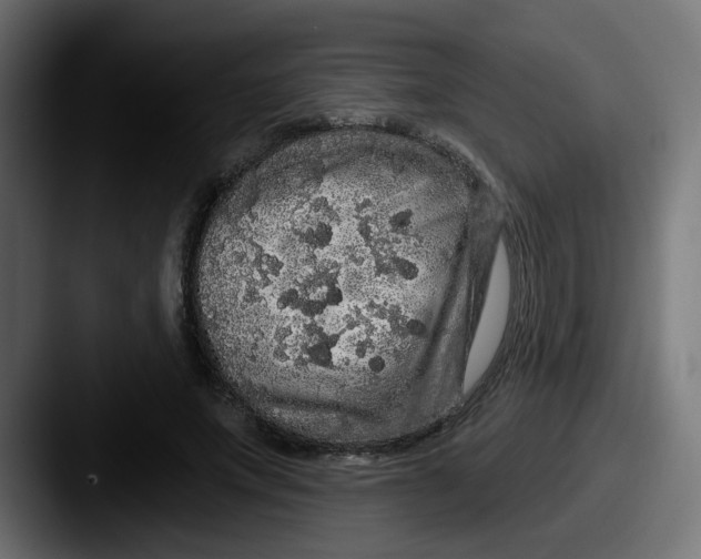 X0000087570687200705181143