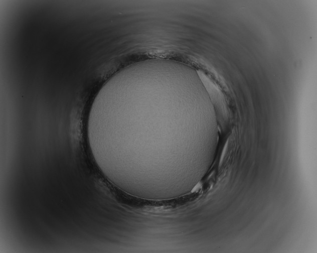 X0000087570689200705181143