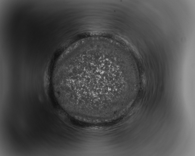 X0000087570691200705181143