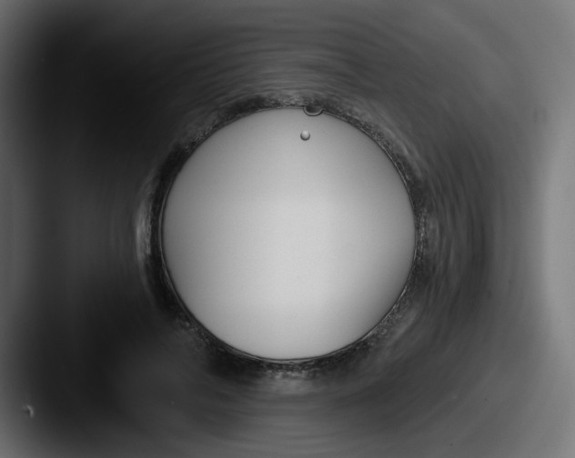 X0000087570694200705181143