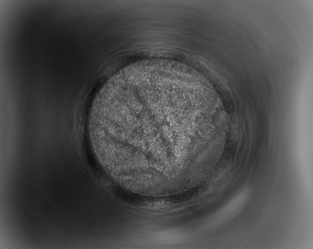 X0000087570695200705181143