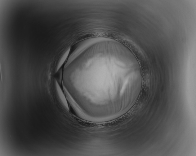 X0000087570696200705181143