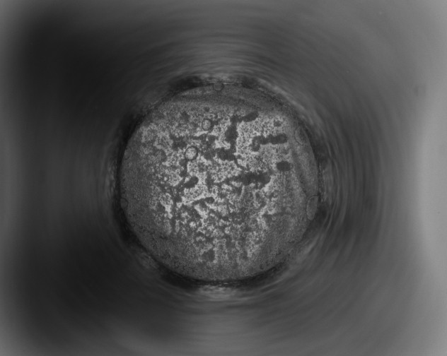 X0000087570699200705181143