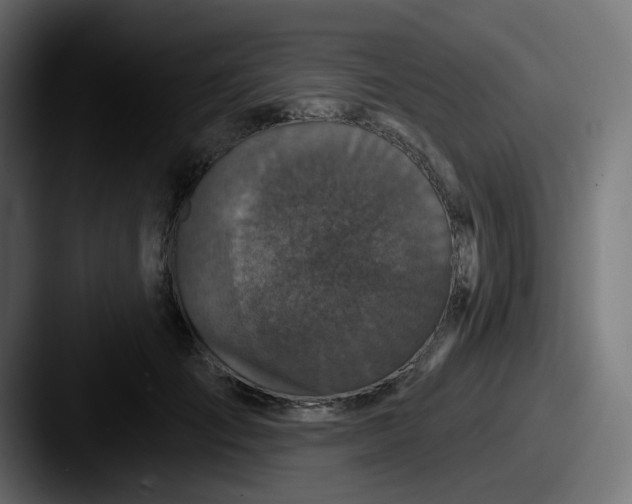 X0000087570701200705181143