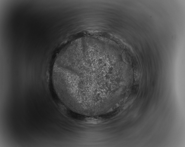 X0000087570703200705181143