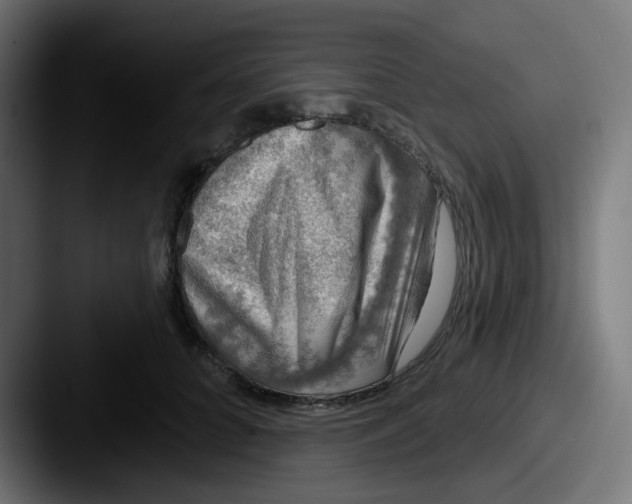 X0000087570704200705181143