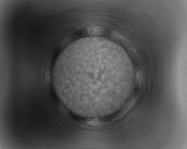 X0000087570705200705181143