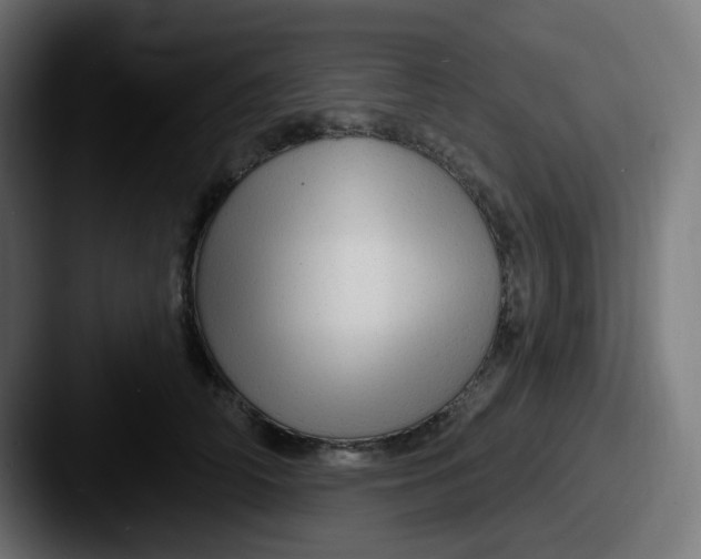 X0000087570706200705181143