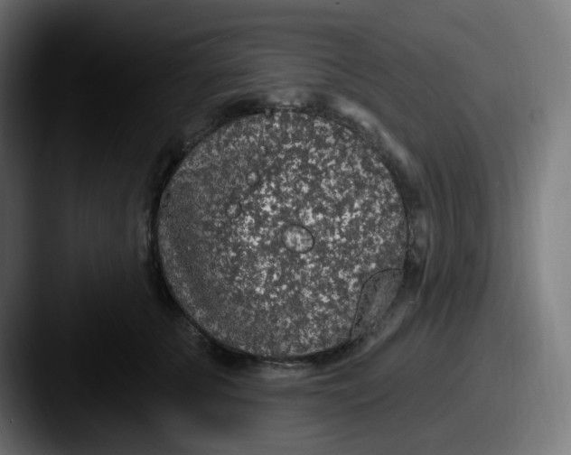 X0000087570707200705181143