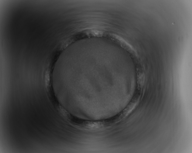 X0000087570709200705181143