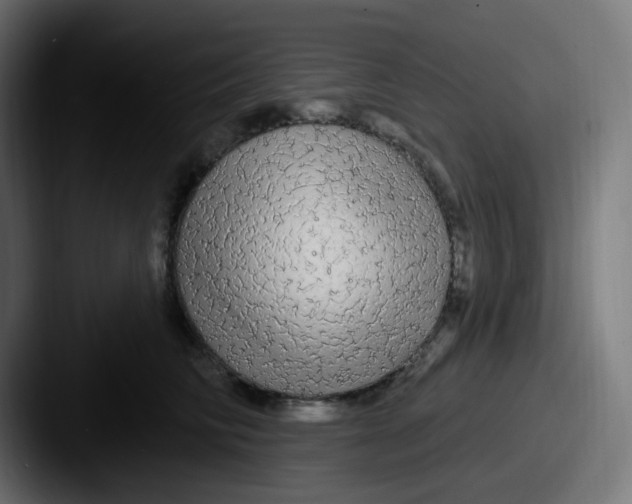 X0000087570710200705181143