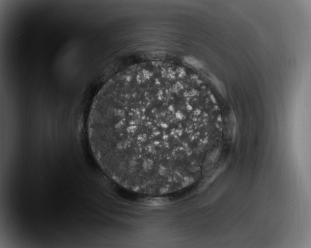 X0000087570711200705181143