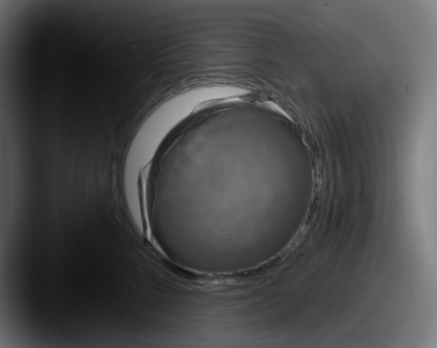 X0000087570712200705181143