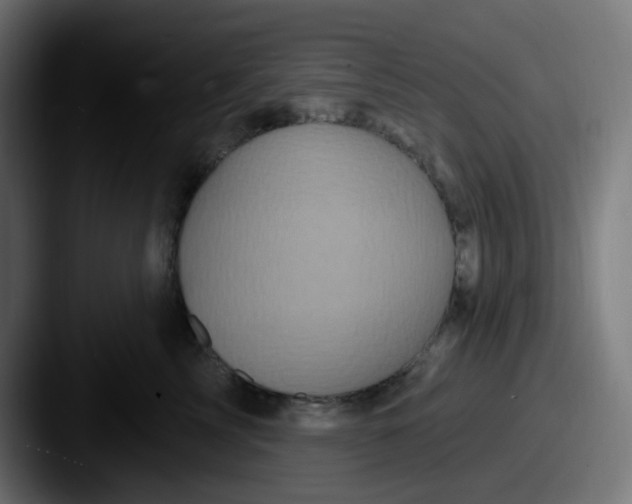 X0000087570713200705181143