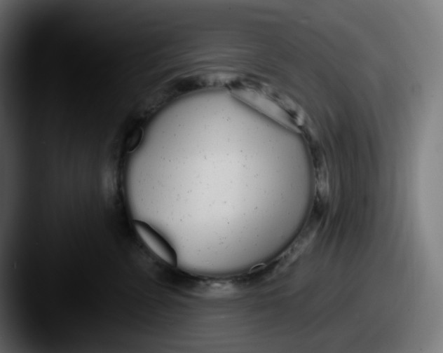 X0000087570715200705181143