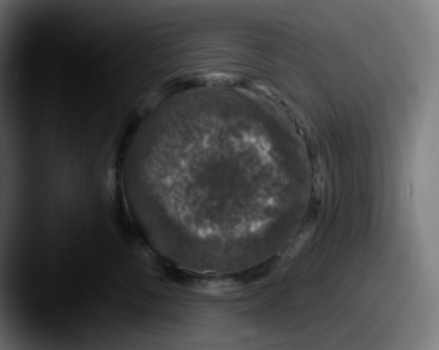 X0000087570716200705181143