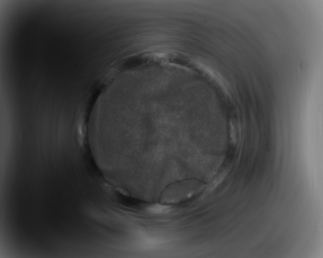 X0000087570718200705181142