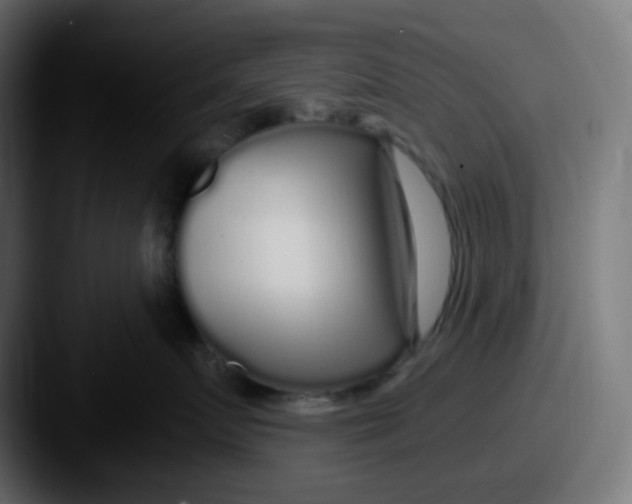 X0000087570719200705181142