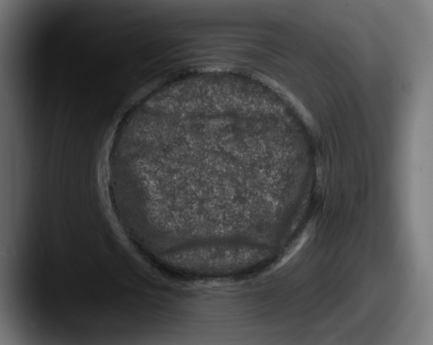 X0000087570721200705181142