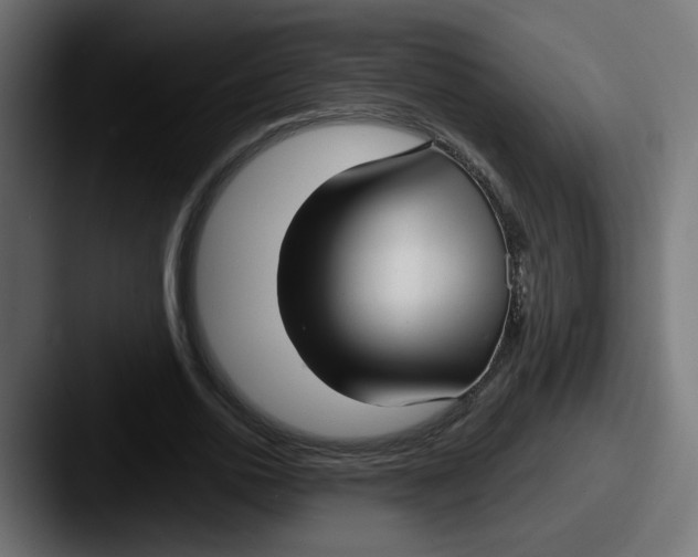 X0000087570726200705181142