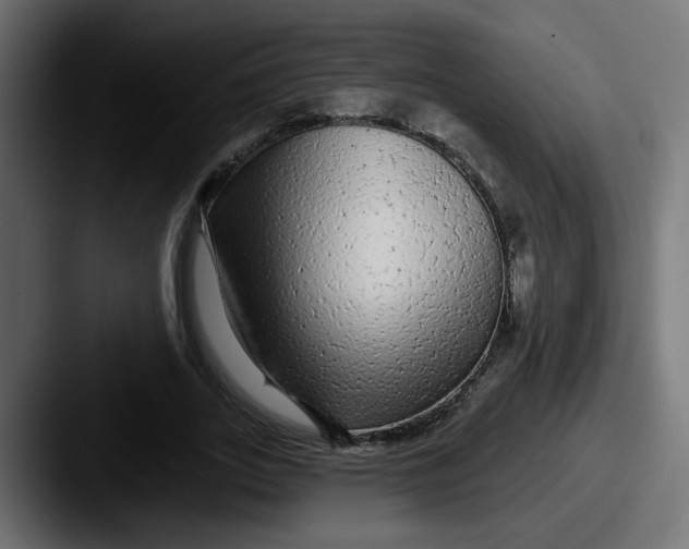 X0000087570727200705181142