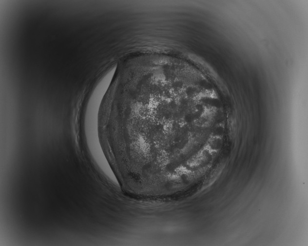 X0000087570729200705181142