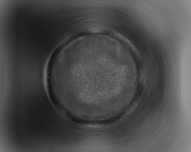 X0000087570730200705181142