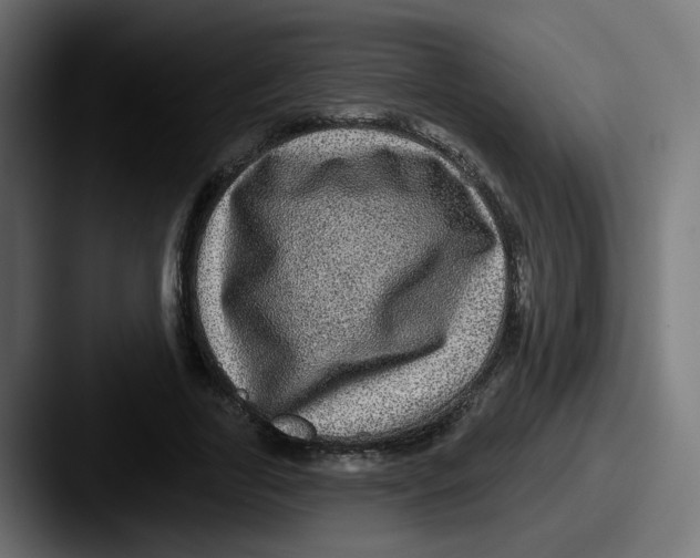 X0000087570731200705181142